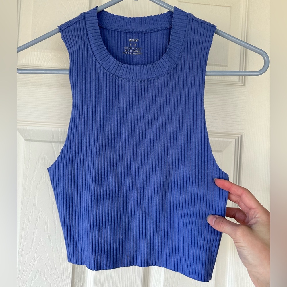 Aerie Cropped Tank